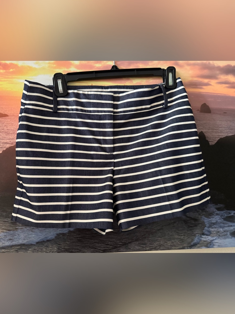 LOFT / The Riviera Navy&White Striped Shorts/ 2 / New